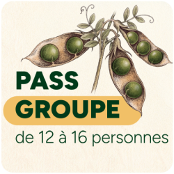 Pass groupe